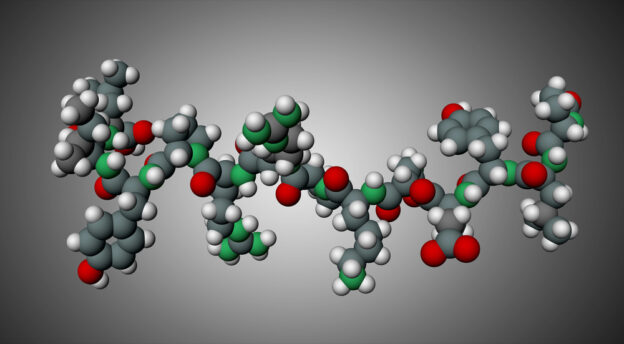 Where to Buy Peptide Backlinks A Complete Guide for 2026